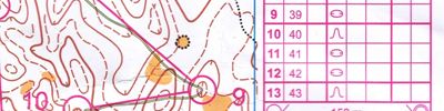 Orienteering map - Чемпионат СЗФО (Алоль) 2 день