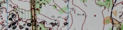 Orienteering map - Чебаркульские Эстафеты