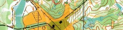 Orienteering map - Сборы 2017