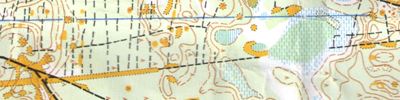 Orienteering map - Дубравушка-2017