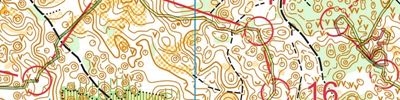 Orienteering map - Дебош-2017