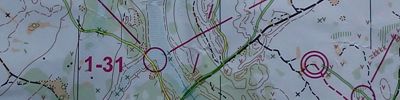 Orienteering map - Чемпионат Ярославской области среди ветеранов (В/К)