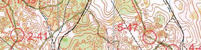 Карта за ориентиране - Чемпионат Нижегородской области. Классика общий старт. 1-й круг.