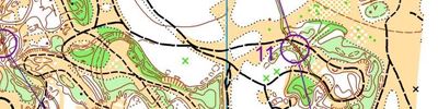 Карта за ориентиране - Чемпионат области, Эстафета, Арзамас