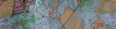 Orienteering map - Плёсский рогейн
