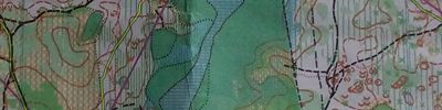 Orienteering map - VI Мемориал А.Чистякова