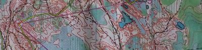Orienteering map - VI Мемориал А.Чистякова