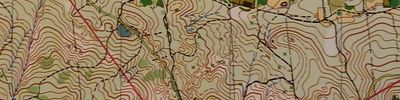 Orienteering map - Памяти топографа Пастухова