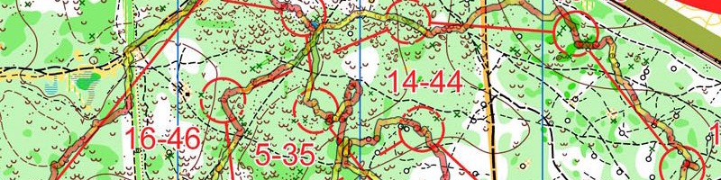 Карта спортивного ориентирования - Московское Лето 2013 4 этап