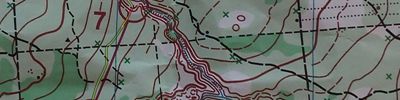 Orienteering map - Памяти топографа Пастухова