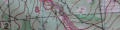 Orienteering map - Памяти топографа Пастухова