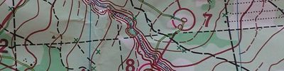 Orienteering map - Памяти топографа Пастухова