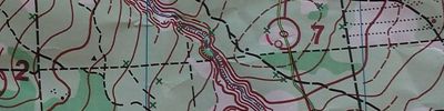Orienteering map - Памяти топографа Пастухова
