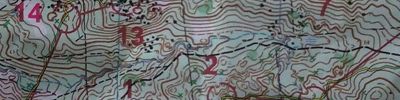 Orienteering map - Памяти топографа Пастухова