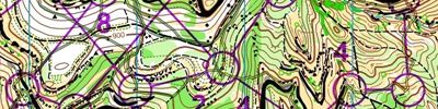 Orienteering map - Кубок России
