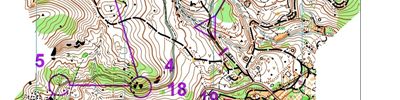 Orienteering map - Кубок России