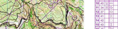 Orienteering map - Кубок России