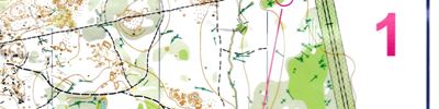 Orienteering map - Москомпасс 2018