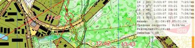 Orienteering map - Московское Лето 2013 15 этап