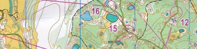 Карта спортивного ориентирования - Чемпионат России. Финал. Ворсма.