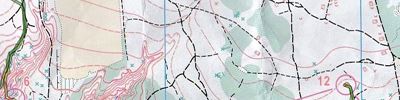 Orienteering map - Тренировочный старт