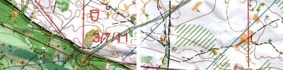 Orienteering map - Чемпионат Ярославской области