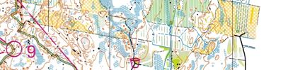 Orienteering map - fin5 5 день