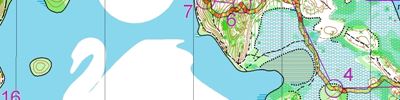 Orienteering map - приз пржевальского 2 день