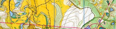 Orienteering map - Чемпионат Н.Новгорода, 2 день
