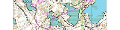 Orienteering map - Сосновый дебош - 2 день (эстафета)