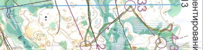 Orienteering map - Хрустальная призма 2013 1й день