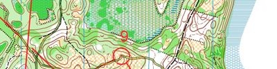 Карта за ориентиране - Russian Championship H20 Middle