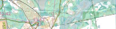 Orienteering map - Хрустальная призма 2013 день 2