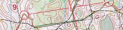 Orienteering map - Тамбовский Волк 2013 1й день
