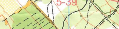 Orienteering map - День рождения клуба Кентавр 2018