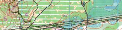 Orienteering map - VII Мемориал Александра Чистякова круг 2