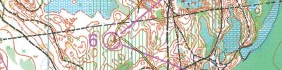 Orienteering map - VII Мемориал Александра Чистякова круг 3
