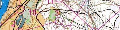 Orienteering map - Соревнования "Памяти В.Н.Михайловой"
