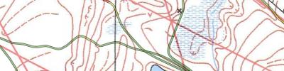 Orienteering map - Рельеф