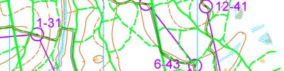 Orienteering map - НГ старты 1 день