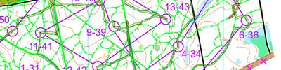 Orienteering map - НГ старты 2 день