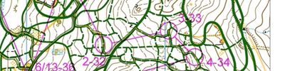 Orienteering map - Лыжный OMR