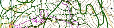 Orienteering map - Новоуральск классика