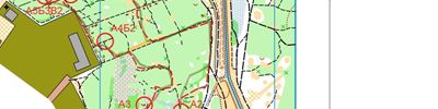 Orienteering map - Чемпионат Ивановской области