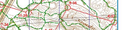 Orienteering map - Цвелодубово студенты 1 день