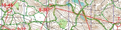 Orienteering map - Цвелодубово студенты 2 день