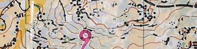 Orienteering map - Training in Hell 