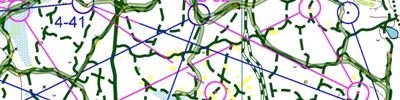 Orienteering map - ПМ Фрязино 2 круг