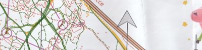 Orienteering map - Кубок Ярославля
