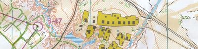 Orienteering map - Чемпионат Ивановской области
